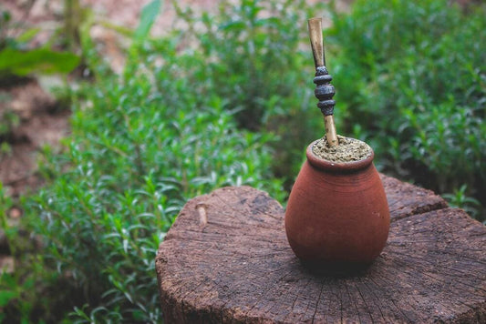 Différence entre matcha et maté : bienfaits et préparations